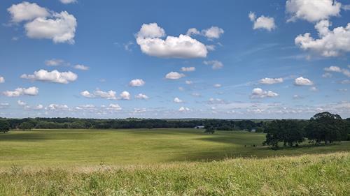 300 acre working cattle ranch
