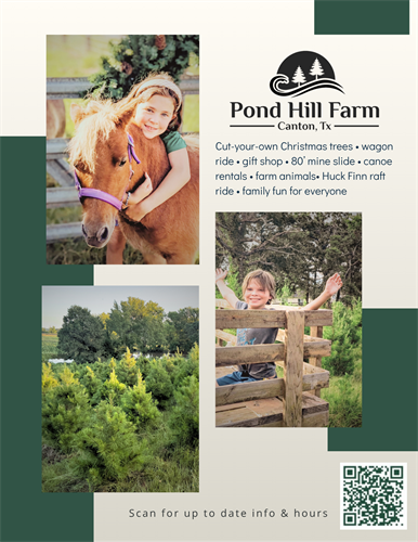 Gallery Image Grey_and_Orange_Photo_Collage_New_Product_Highlight_Flyer.png