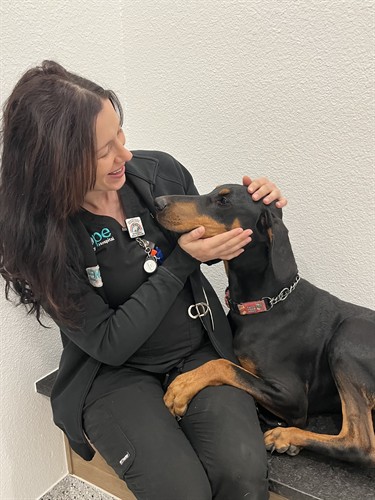 Hope is our registered veterinary technician who is compassionate with all dogs, especially rescues.