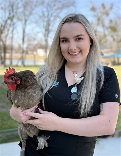 Lexi is our receptionist. She is so glad that Dr Megan treats chickens because she loves them.