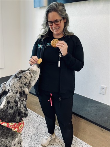 Ashley is our practice manager sharing homemade cookies with a great dane patient