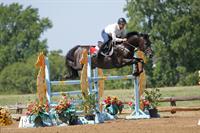 Texas Rose Kick Off I - Hunter/Jumper Show