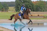 Texas Rose Spring Horse Trials - Cross Country Horse Event