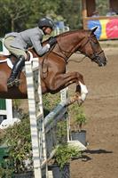 TRHP/DHJSC Hunter Jumper Horse Show