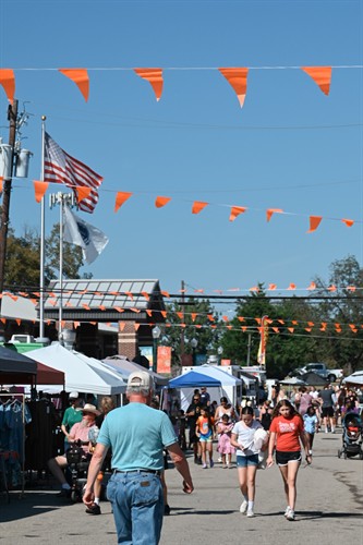 Gallery Image DSC_1029.JPG