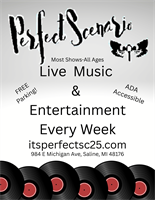 Perfect Scenario LLC