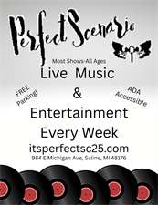 Perfect Scenario LLC