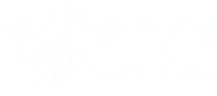 Families Living Violence Free