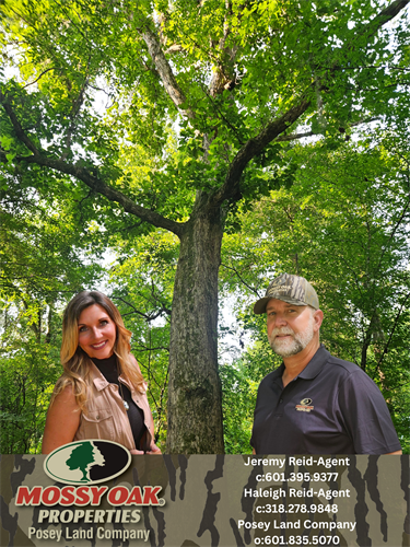 Gallery Image Jeremy_Reid-Agent_c6014411961_Haleigh_Reid-Agent_c318.278.9848_Posey_Land_Company_601.835.5070_(2).png