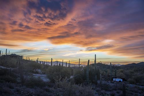 Arizona Sunrise