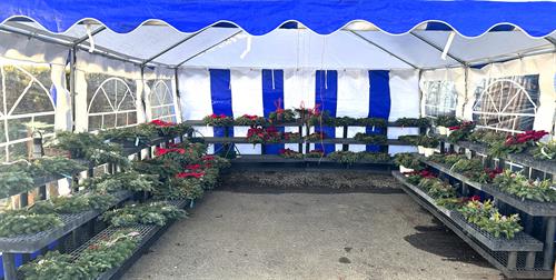 Gallery Image Photo_Nov_28_2025._11_15_27_AM.jpg