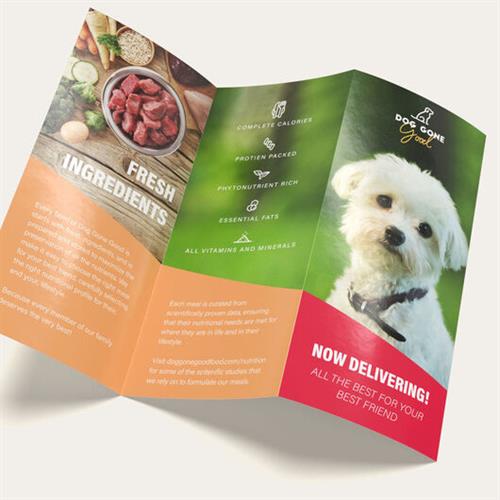 marketing materials such as brochures, business cards, pocket folders, etc.