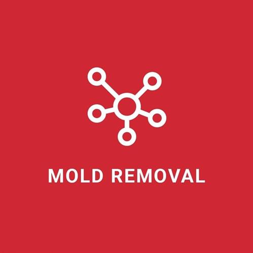 Gallery Image mold_sign.JPG