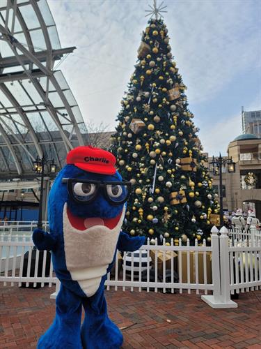 Charlie the Tuna ‘Makes the Season Bright’ During the Reston Town Center Holiday Event
