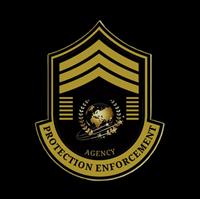 Protection Enforcement Agency LLC