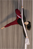 Enchanted Forest Aerial Student Showcase