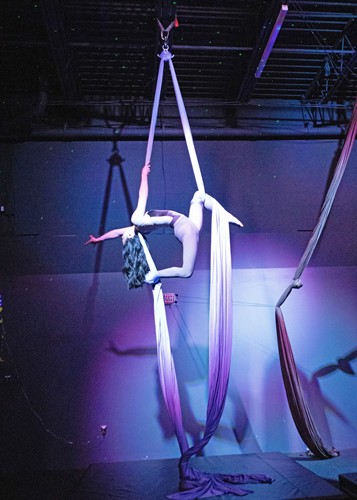 Silks Student Performance at MindShift