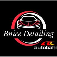PM Networking at Bnice Detailing