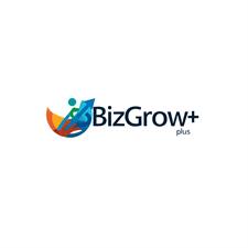 Biz Grow Consulting