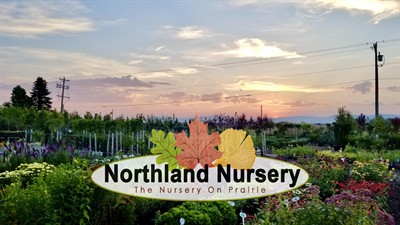 Northland Nursery