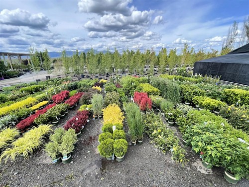 Gallery Image 12.jpg