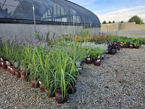 Gallery Image 147.jpg