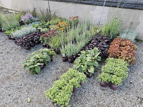 Gallery Image 148.jpg