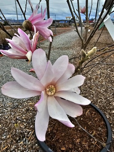 Gallery Image 42.jpg