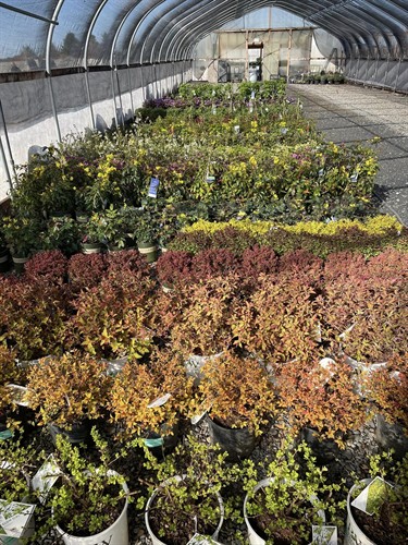 Gallery Image 420280380_926235636180456_7379738611081077943_n.jpg