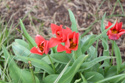 Gallery Image IMG_4666.JPG