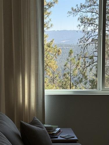 Custom Drapes