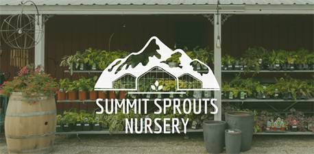 Summit Sprouts Nursery