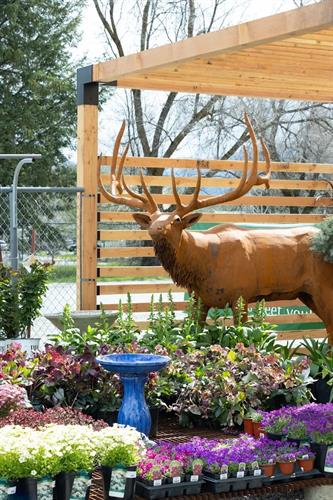 Offering a Large Variety of Yard Art