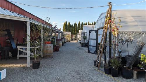 Main Alley in Early Spring