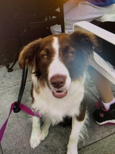 Amber out for coffee