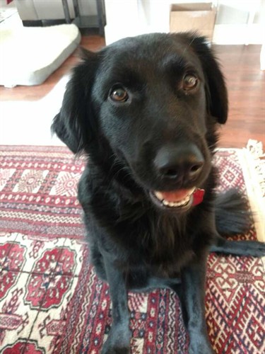 Wonder, oh what a wonder!