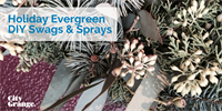 Holiday Evergreen DIY Swags & Sprays