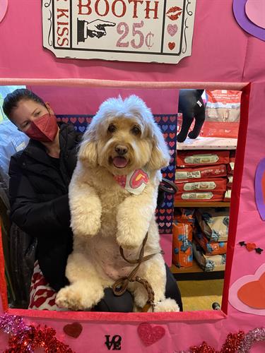 One of our favorite furry friends at our 2022 Valentine's Day photo booth