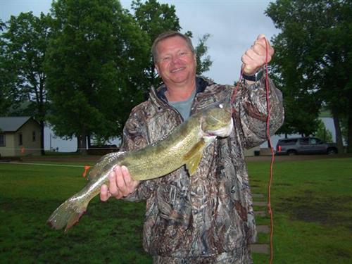 26" walleye from our dock