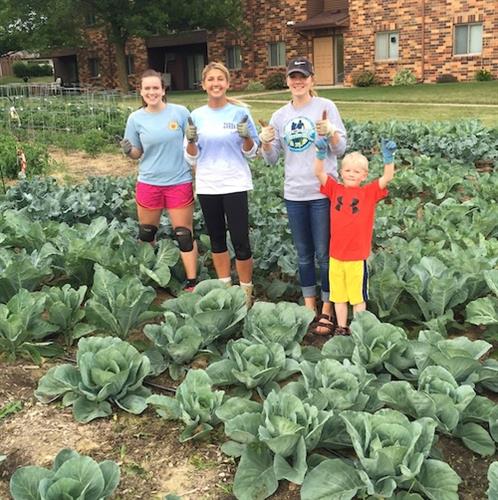The Lake Region Takes Root Community Garden enlists volunteers to grow thousands of pounds of produce each summer, all of which is donated to area food shelves to provide nutrient dense food to area families. 