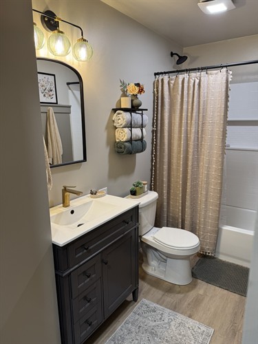 Bathroom Update