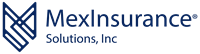 MexInsurance Solutions, Inc.