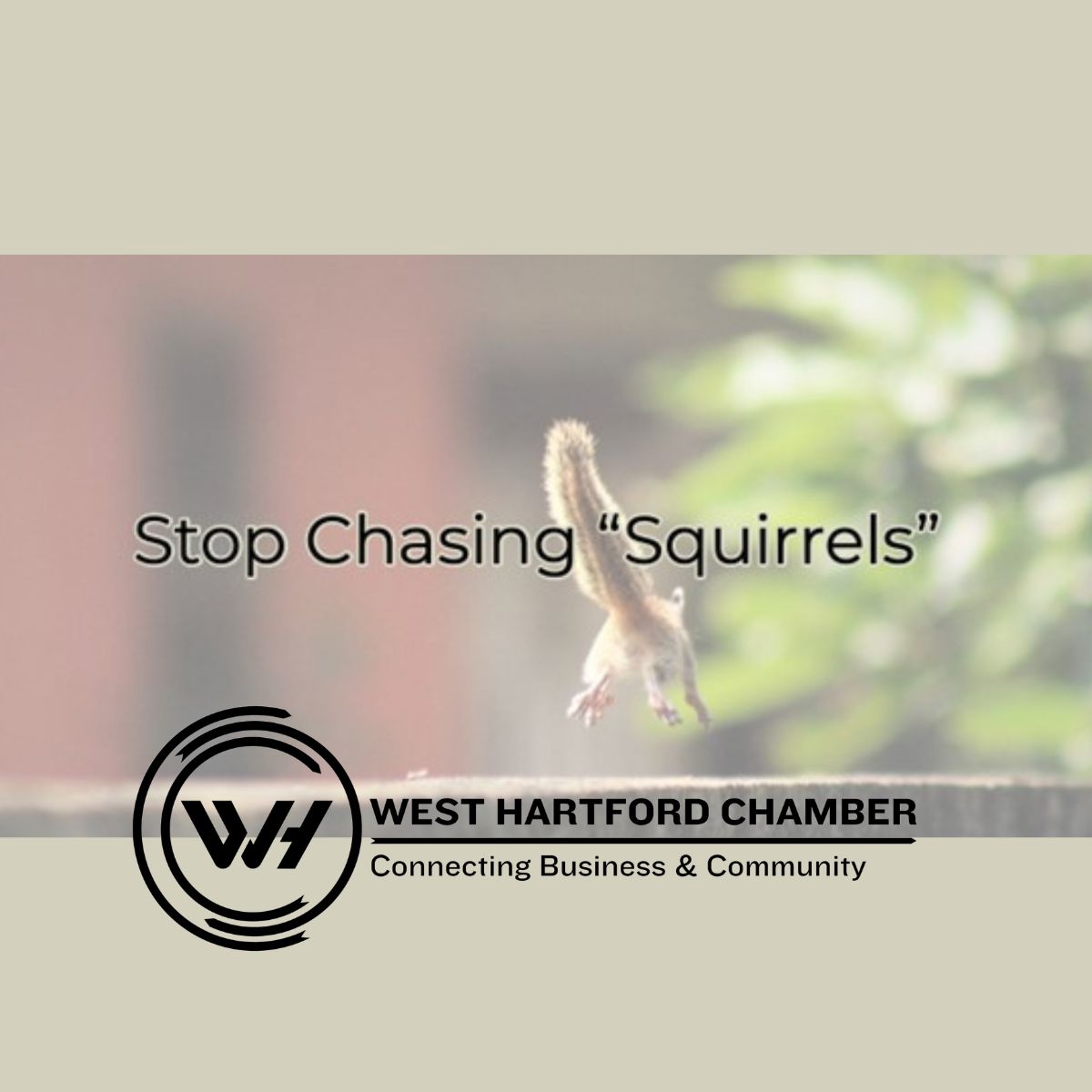Image for Stop Chasing “Squirrels”