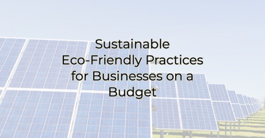 Image for Sustainable Eco-Friendly Practices for Businesses on a Budget