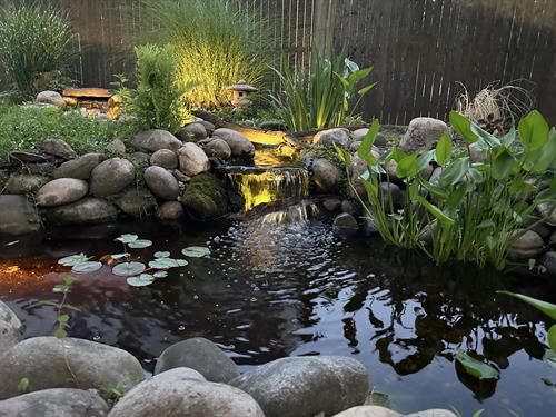 Custom Pond and Waterfall West Hartford