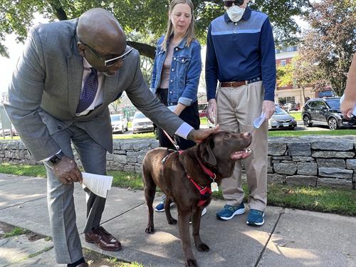 Blessing of the Animals, October
