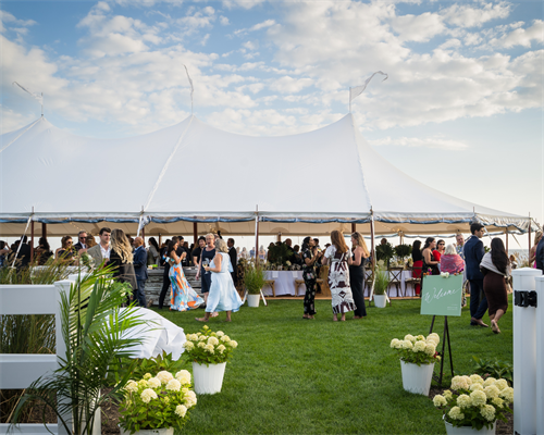 Gallery Image website_sized_(3)(1).png