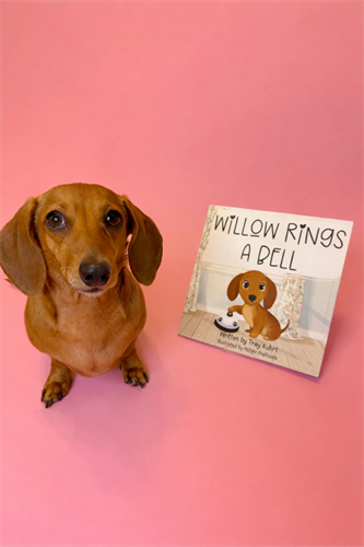 Gallery Image B0DF38AD-4CF3-4182-B4E4-6562316A0F32.png