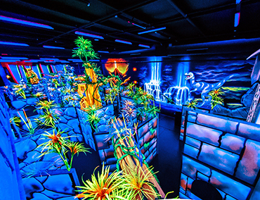 Laser Tag Arena