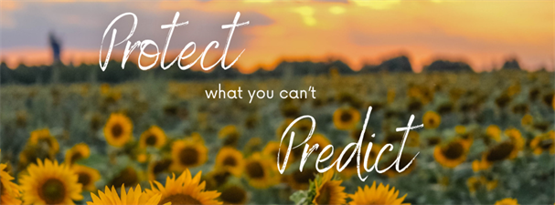 Karr Insurance Services